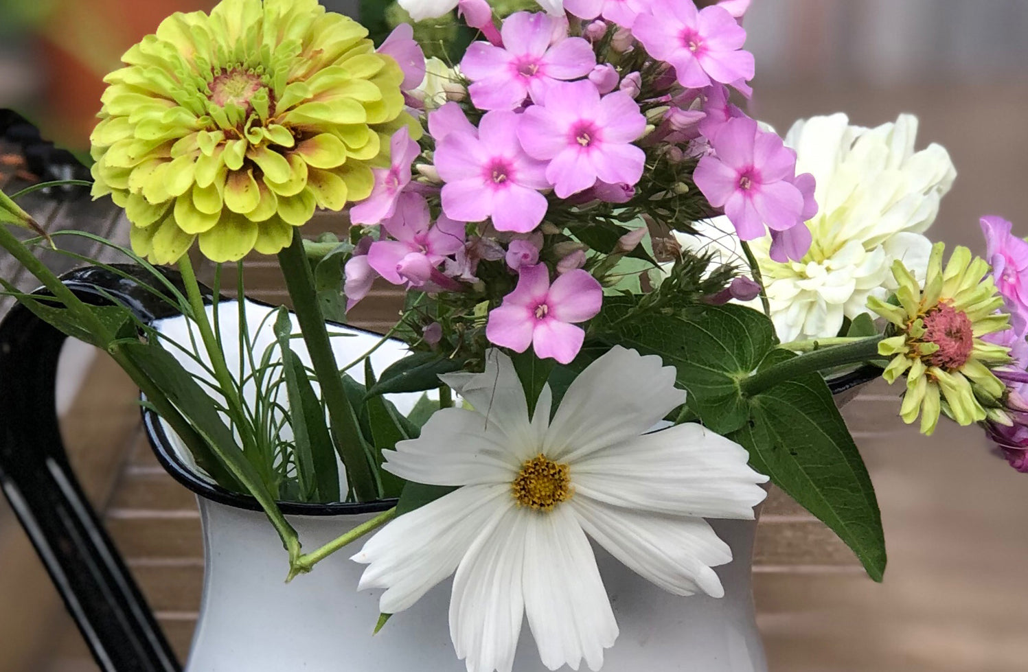 Lisianthus, Zinnia, Cleome and Cosmos-- Annuals that just want to Please!