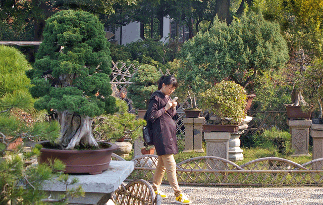 The Art of Bonsai Making is Still Alive Today with Bruce Baker and Goliath