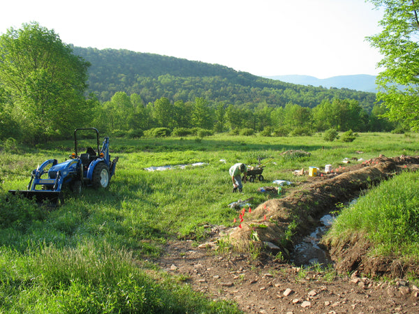 Permaculture in Practise at Dingle Hill Flowers & Herbs