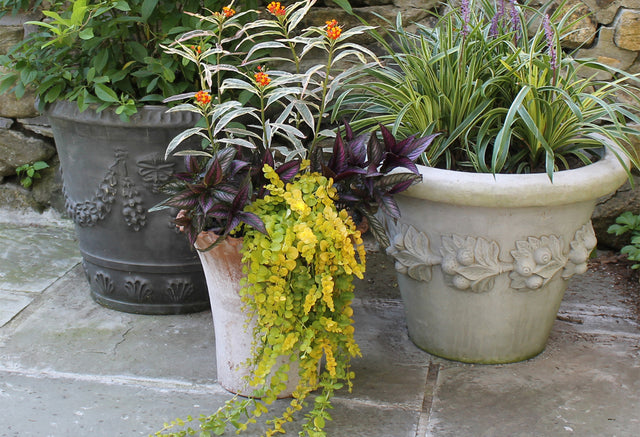 Here's How to Create Beautiful Containers