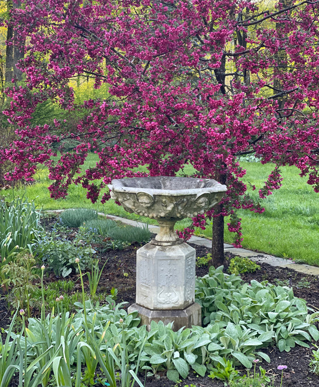 What causes good years and bad years for flowering trees and shrubs?