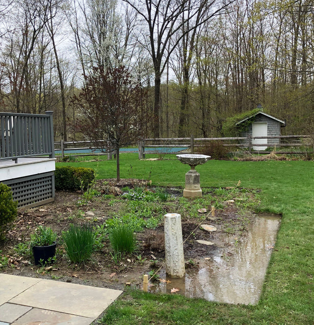Do you have drainage problems in your garden?