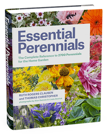 Win A Signed Copy of "Essential Perennials"