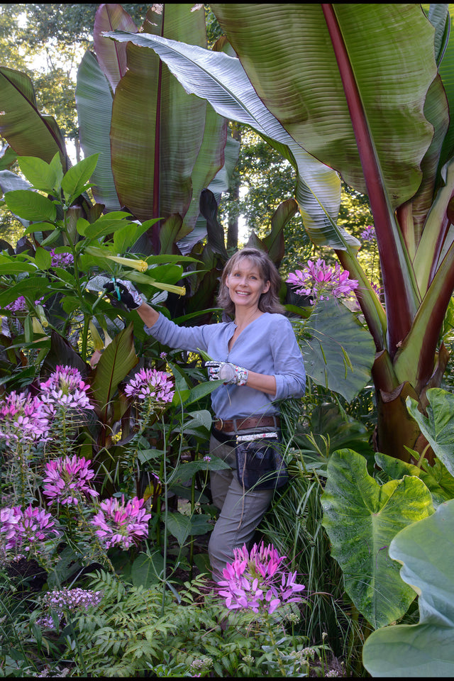 Marianne Willburn: Growing and Caring for Tropical Plants