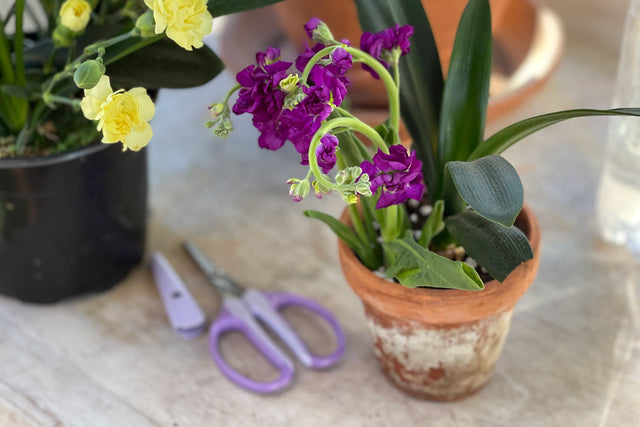 Make Floral Table Arrangements That Are Easy on the Pocketbook!