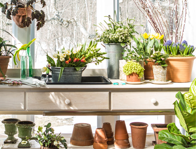 "Think Spring" Garden Giveaway