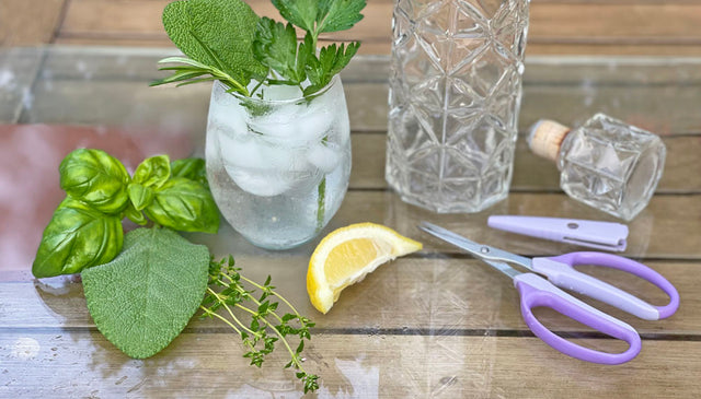 How To Make Craft Cocktails From The Garden using A Shrub as a Mixer