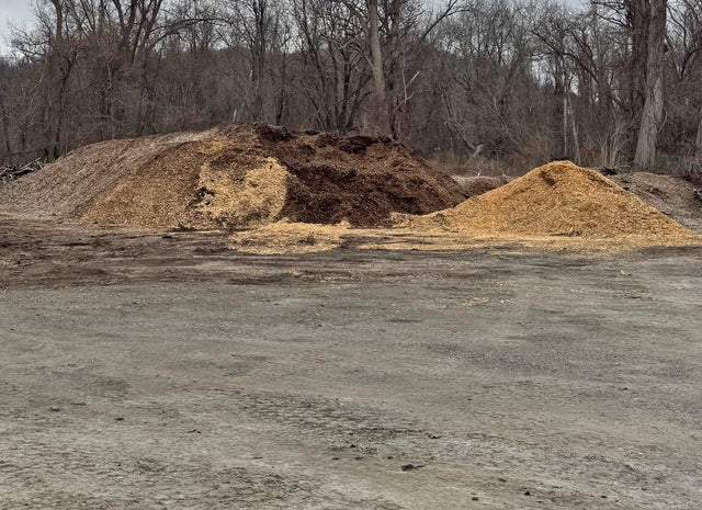 Learn More About Wood Chips And Mulch Before You Bring Them Into Your Garden