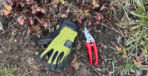 5 Early Spring To Do's in the Garden