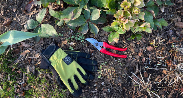 Seven Steps To Prep Your Spring Garden Now by Jeannette Ross