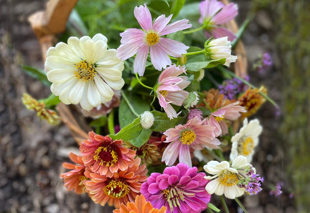 How to Create Your Own Cutting Garden