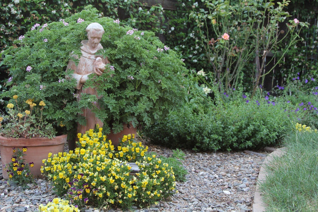 Listening to the Story of Gardening with Jennifer Jewell