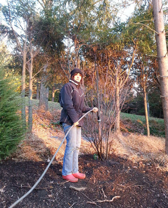 Fall Planting: How Late is Too Late?