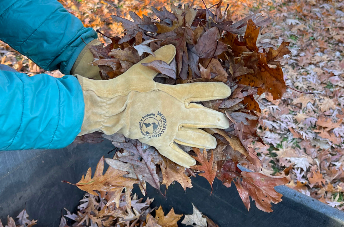 Should you leave your fallen leaves? There is no simple answer,  by Jeannette Ross