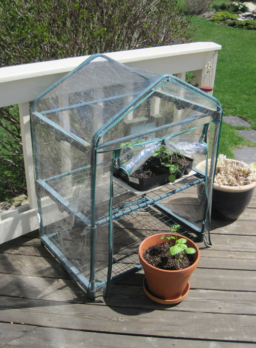 Greenhouses Come in all Shapes and Sizes