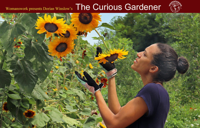 Natasha Bowens Blair of Native Mountain Farm and Soul Street in Frederick Maryland