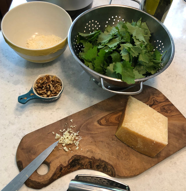 Learn How To Make Garlic Mustard Pesto!