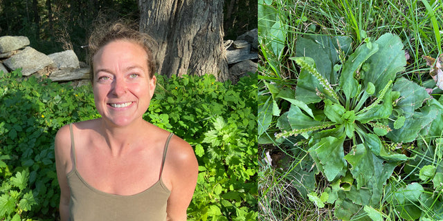 Beneficial Weeds: Foraging in your Backyard, by Jeannette Ross