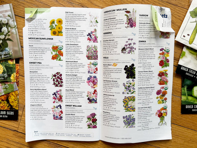 Understanding Seed Choices by Horticulturist Lorin Nielsen