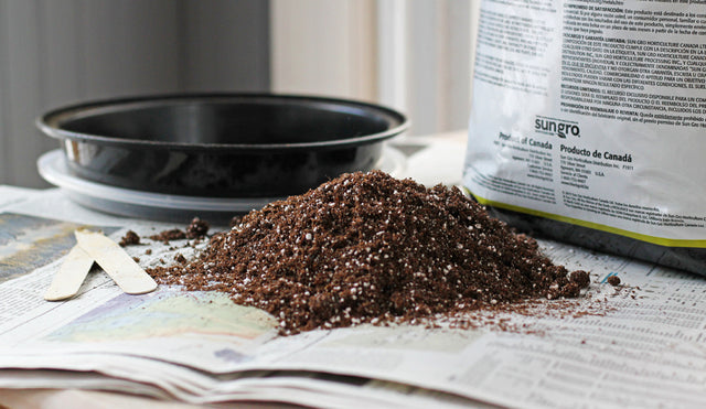 Why Do I Use An Infertile, Soilless Mix or Medium for Seed Starting?