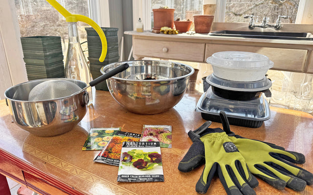 Seed Starting How To