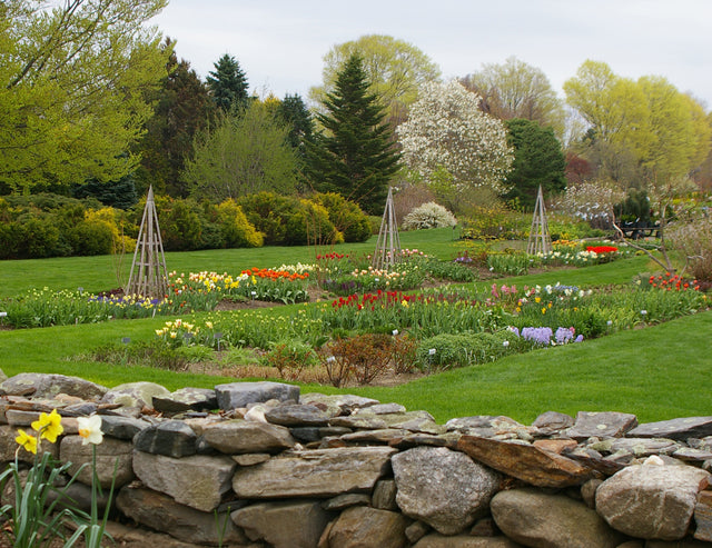 Ten Ways To Plan for Next Spring!