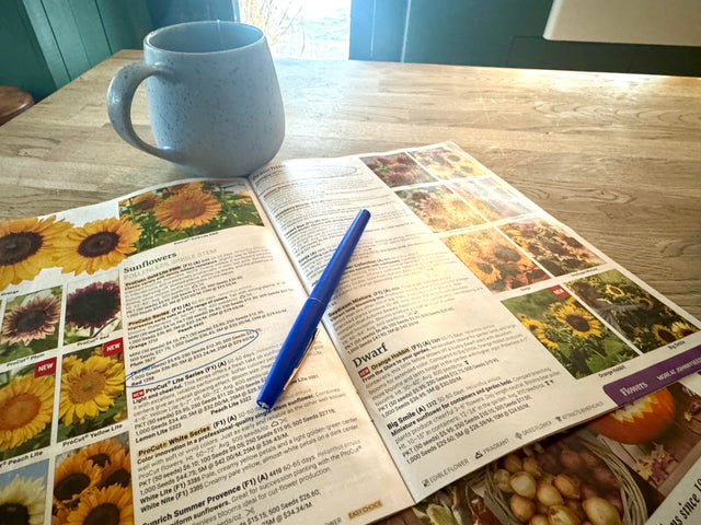 Happy New Year! It's time to buy seeds!