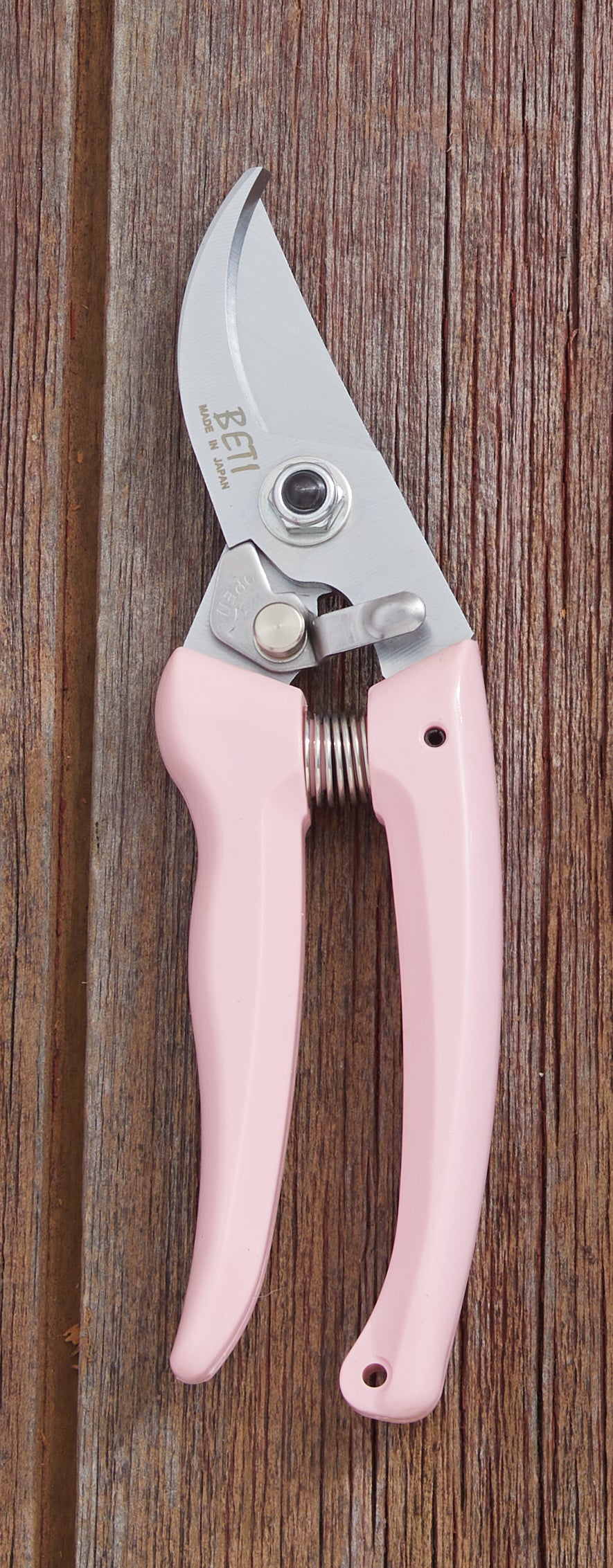 Classic Pruning Shears