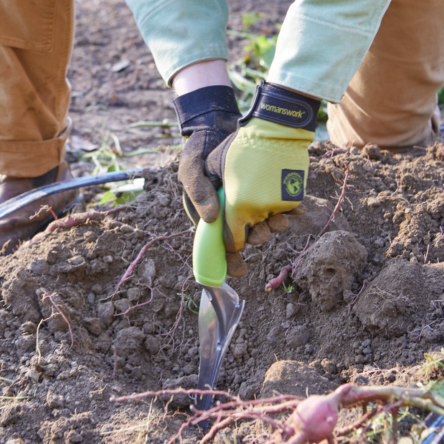 Person wearing a yellow gardening glove with a womans work logo, using a tool in soil.