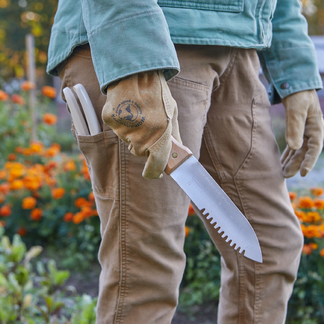 Person holding a garden tool with gloves on, standing in a garden setting.