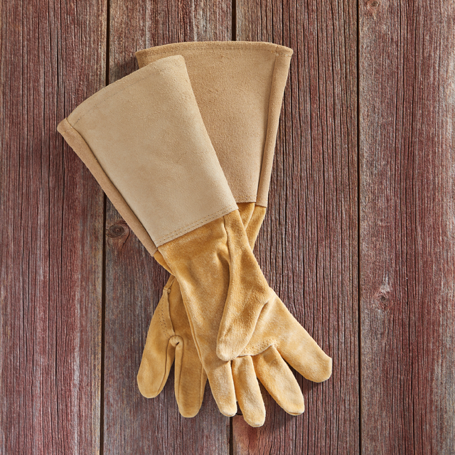 Pair of beige gloves on a wooden background