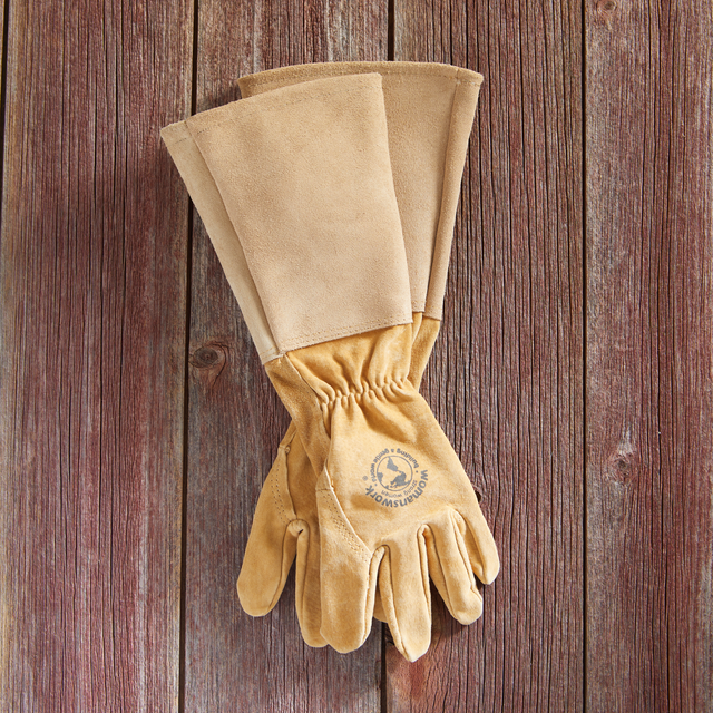 Pair of tan leather gloves on a wooden background