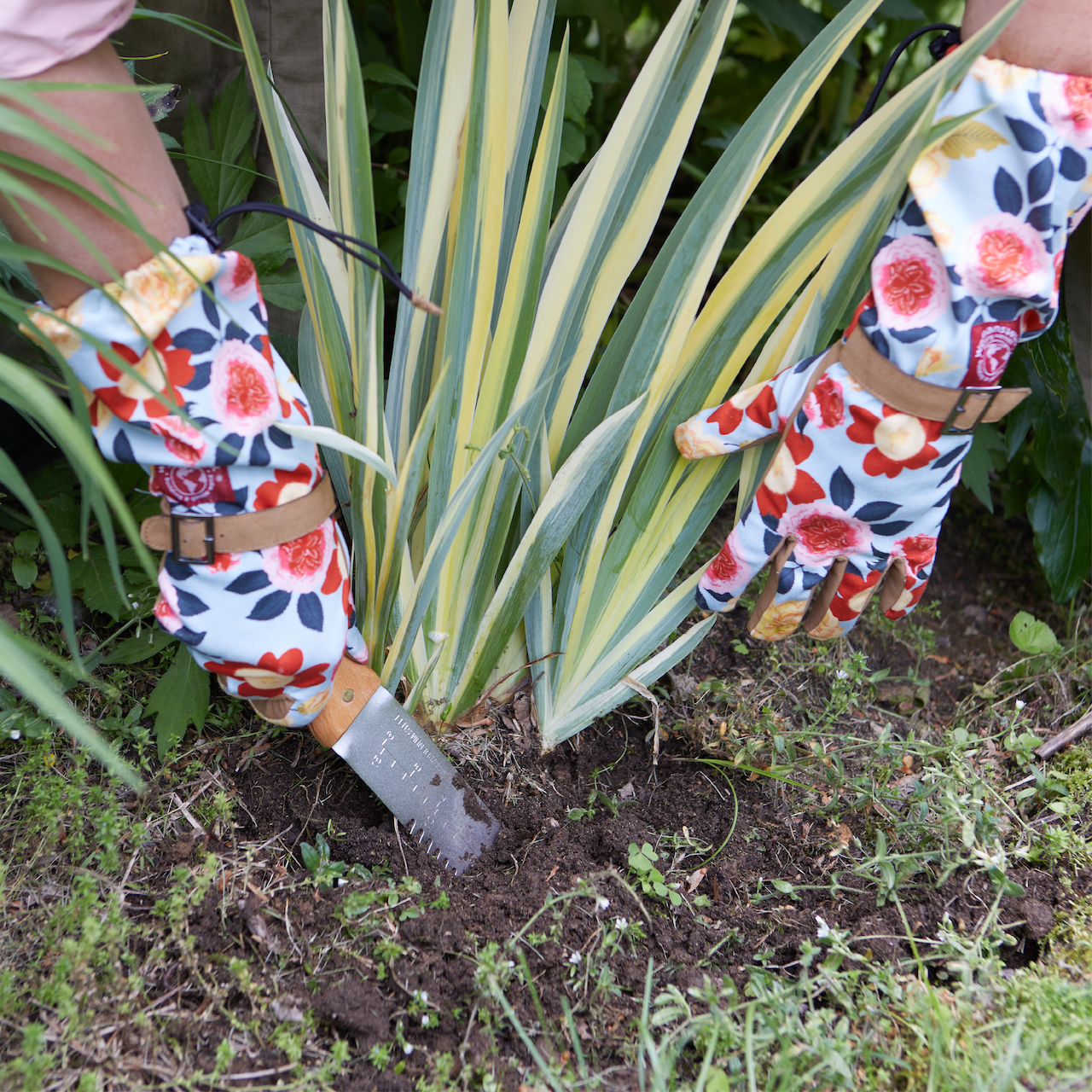 Person wearing floral gardening gloves planting a plant in the garden.