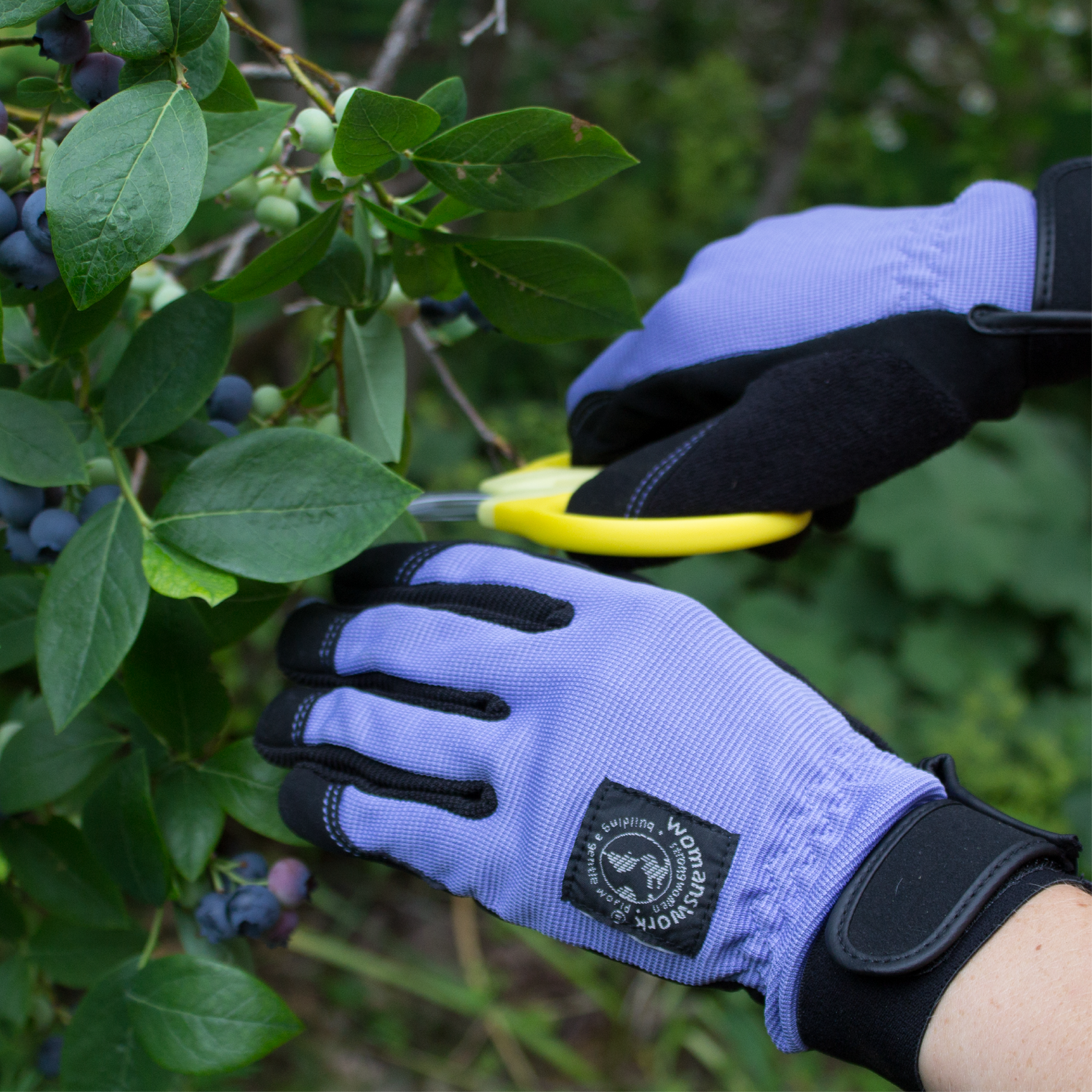 Person wearing purple gardening gloves with black accents, using a yellow tool to tend to green plants.