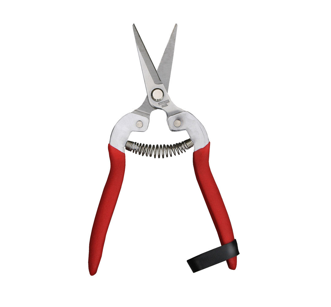 Gardening shears with red handles on a white background