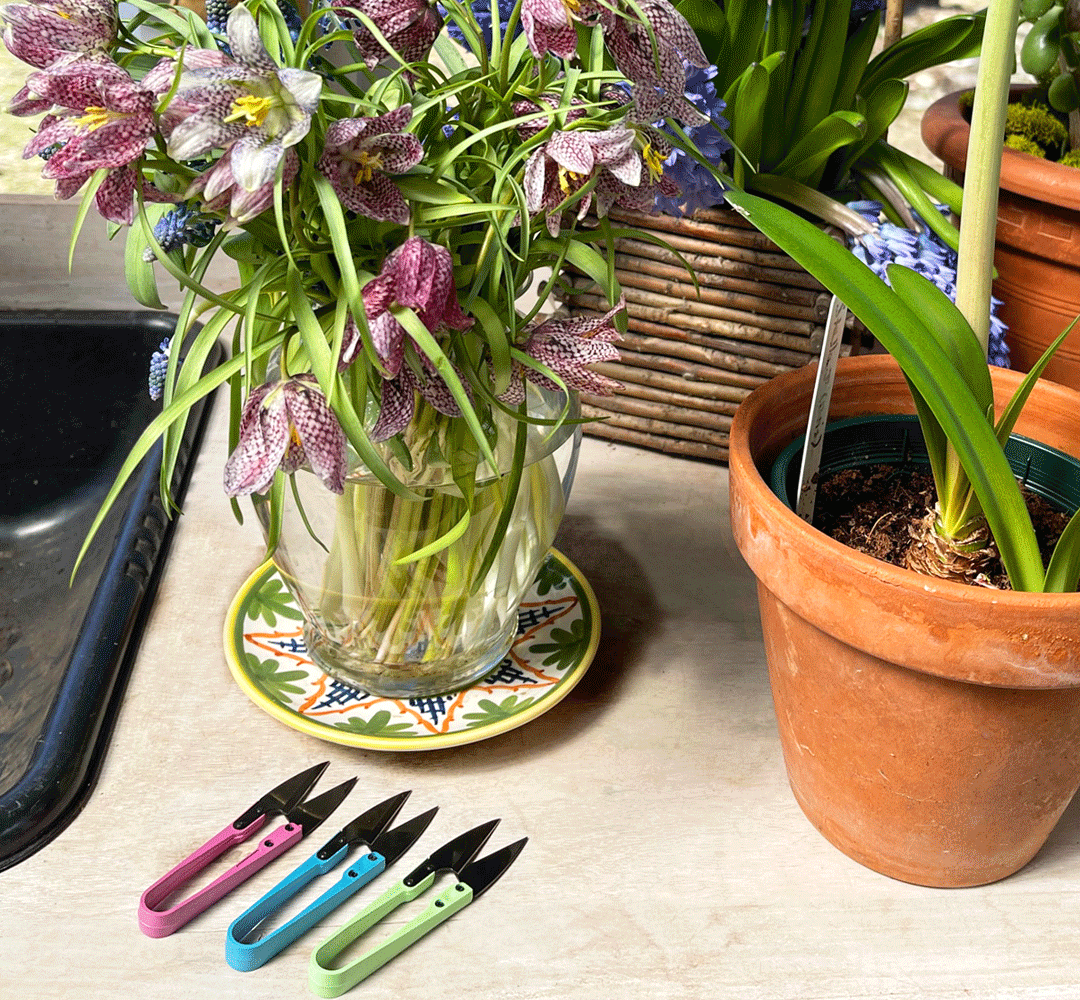 Plant Snips -- Set of 3