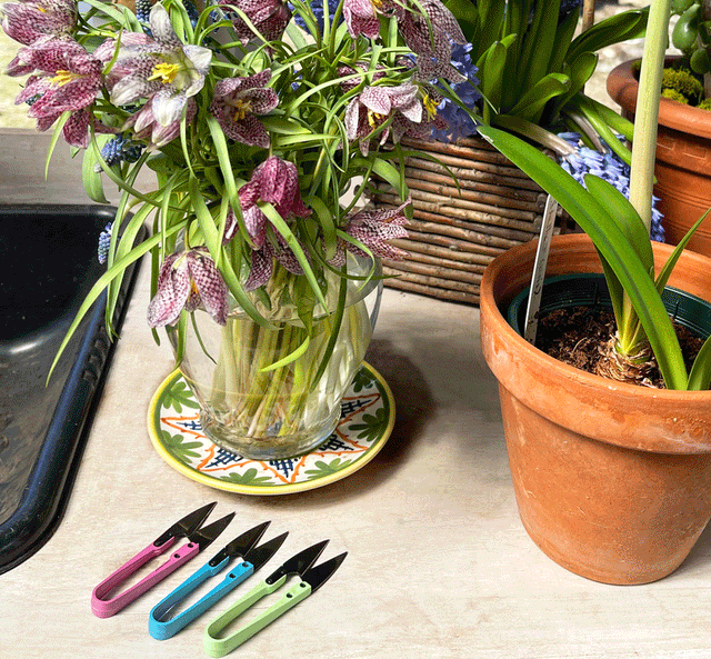 Plant Snips -- Set of 3