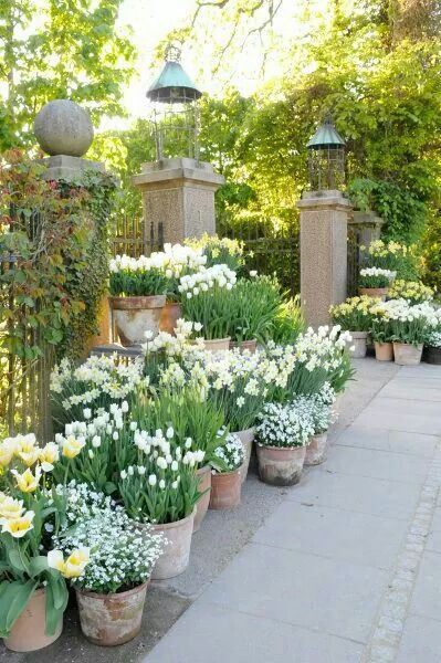 "Escape To Spring"