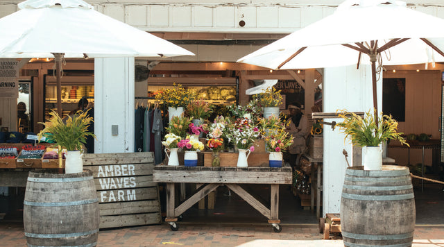 Rooted in Purpose: A Conversation with Amber Waves Farm