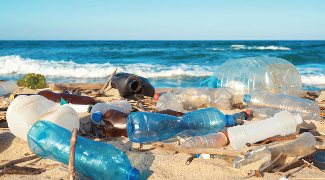 Why We Sponsor Beyond Plastics