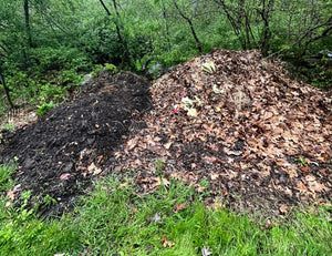 Celebrate International Compost Awareness Week And Learn Do's And Don'ts of Composting