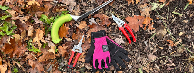 Putting My Garden to Bed in the Fall