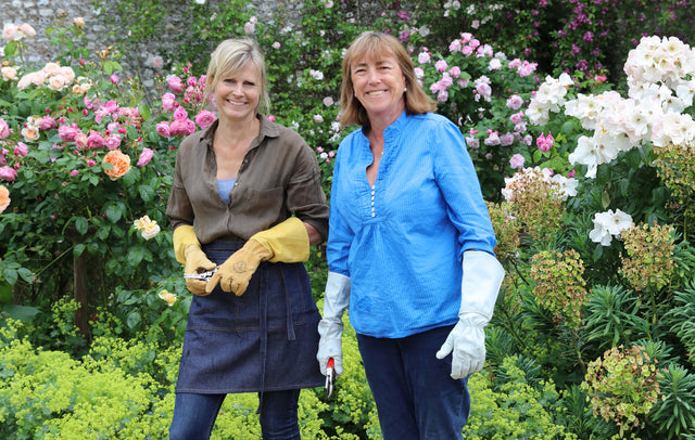 Sarah Green's Walled Rose Garden