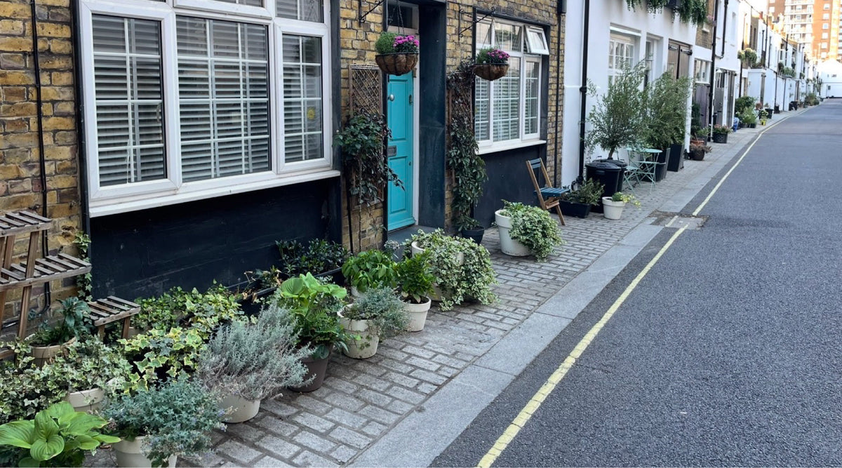 How to Clean Plant Pots for Reuse  (A Simple Vinegar Method Every Gardener Should Know)