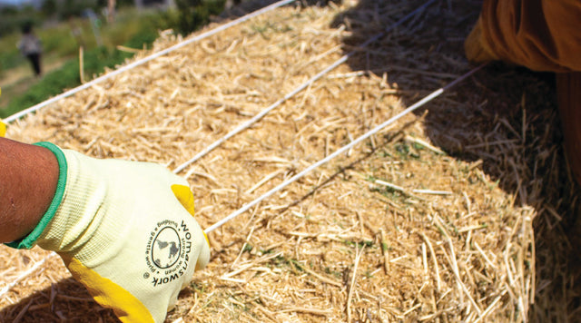 We're Proud to Support the Year of the Woman Farmer
