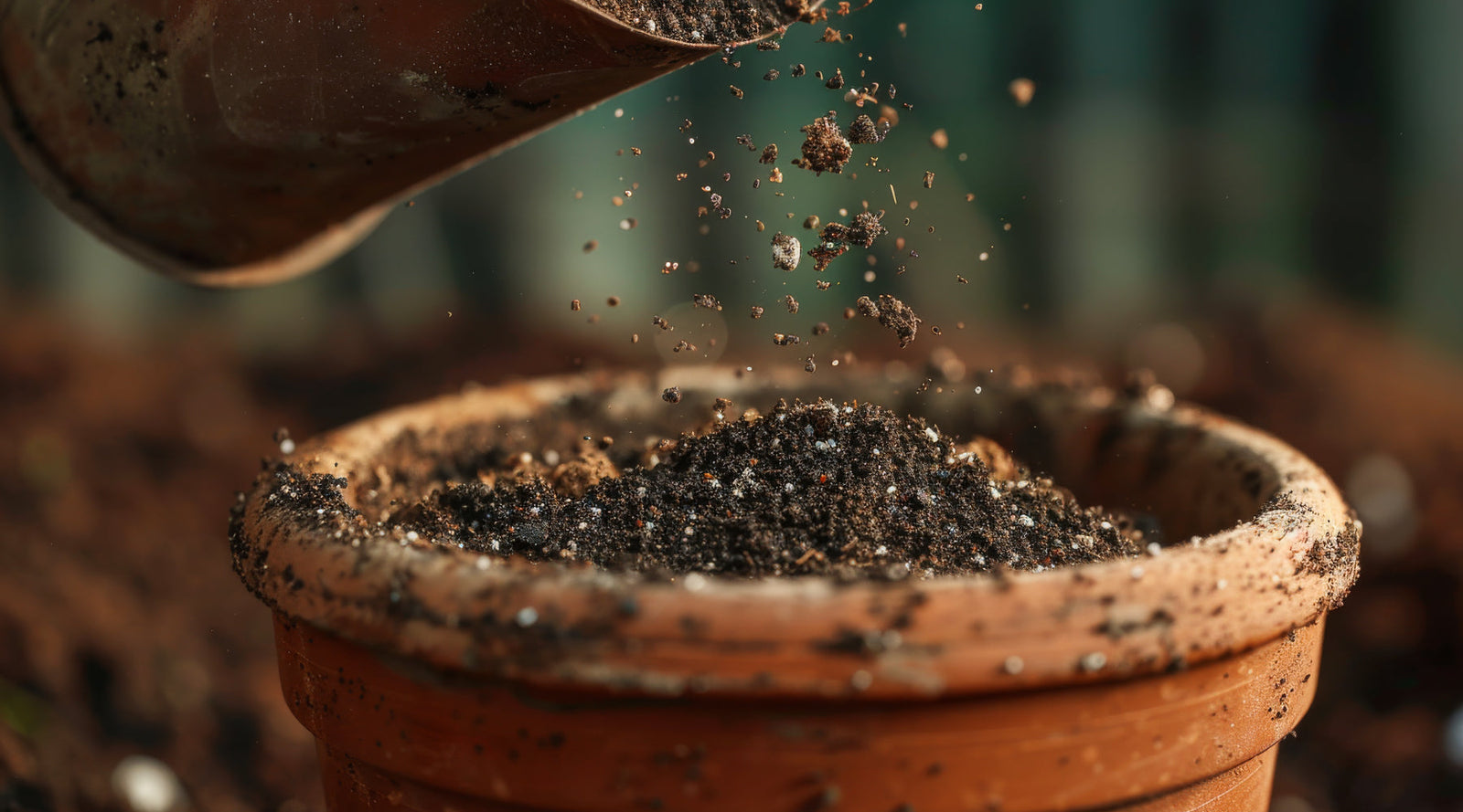 Tasks for Gardeners with Cabin Fever, Part 2