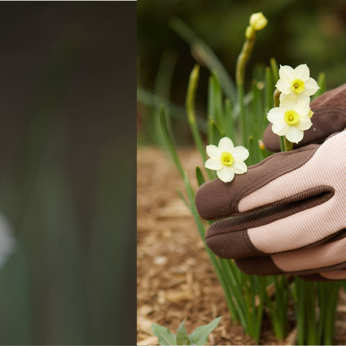 Spring Essentials – Womanswork