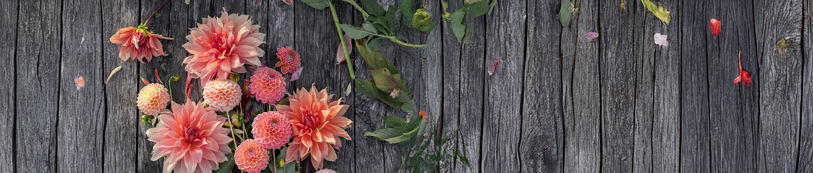 Pruning & Deadheading