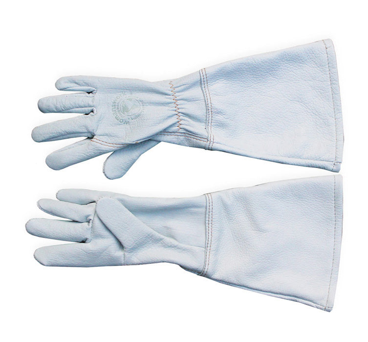 Pair of light blue gloves on a white background