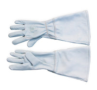 Pair of light blue gloves on a white background